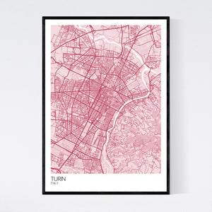 Turin City Map Print