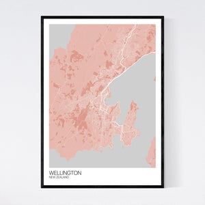 Wellington City Map Print