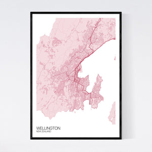 Wellington City Map Print