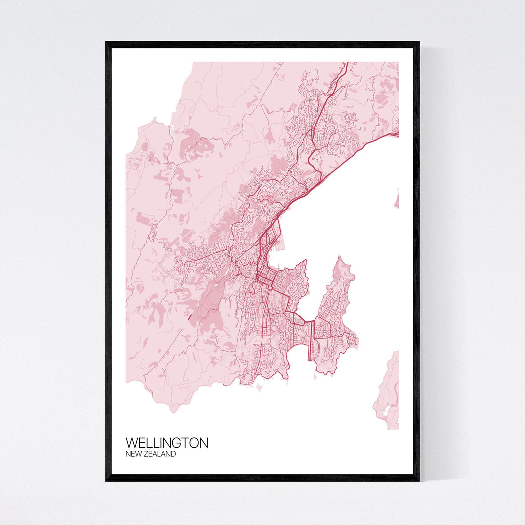 Wellington City Map Print